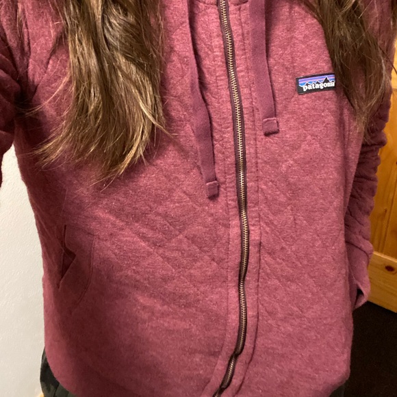 Patagonia Organic Cotton Quilt Hoodie Zip - Picture 7 of 7